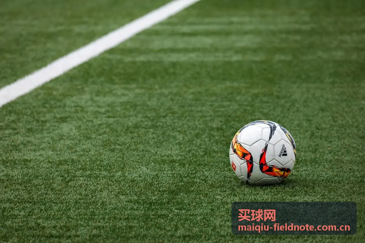 买球网规则更新资讯封面