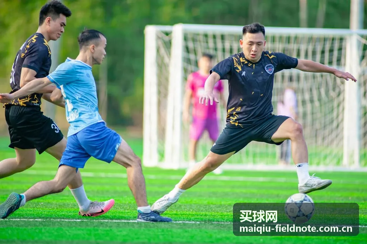 买球网规则术语专题