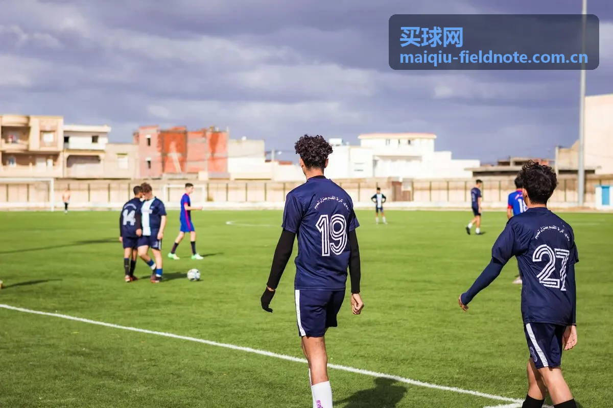 买球网数据笔记内容封面